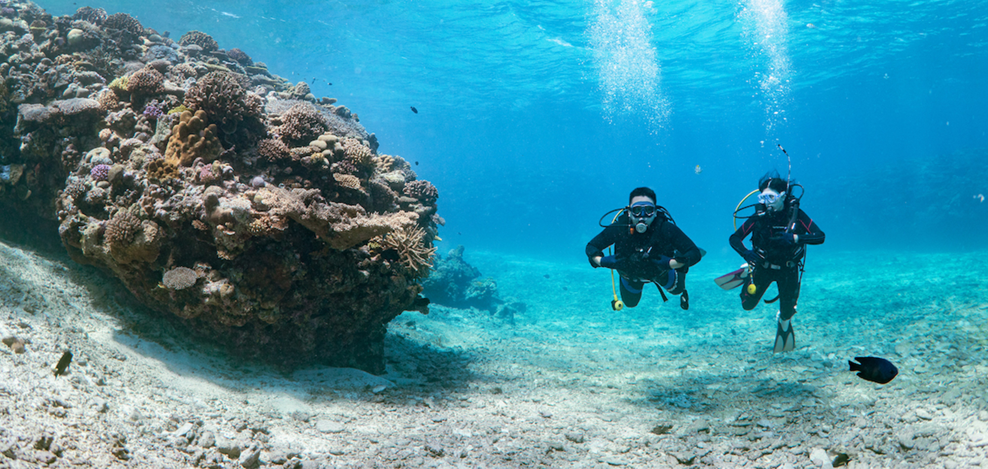 古宇利島ダイビング