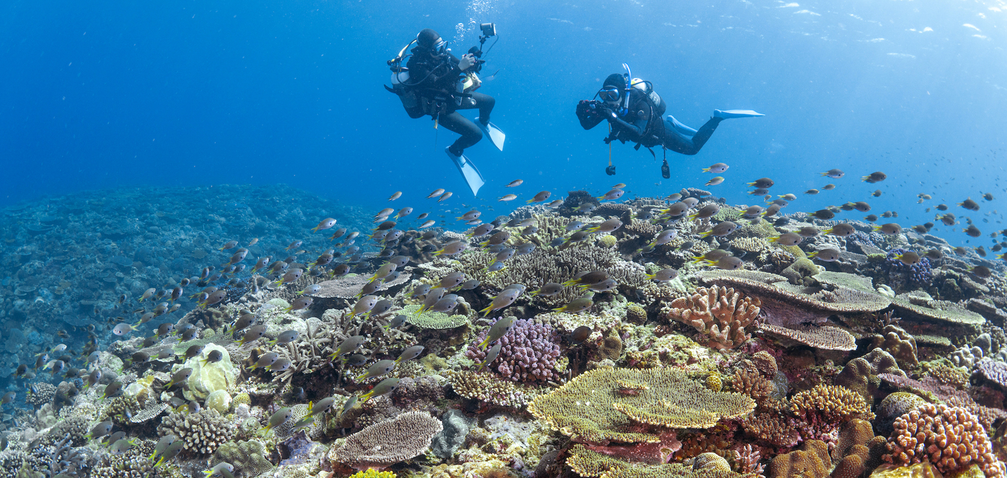 古宇利島ダイビング